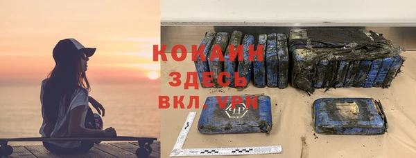 индика Верхний Тагил
