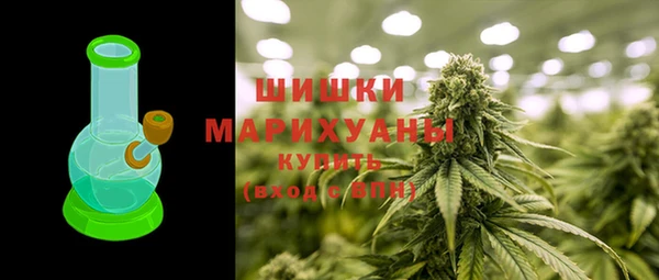 индика Верхний Тагил