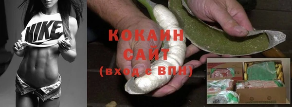 мяу мяу мука Санкт-Петербург