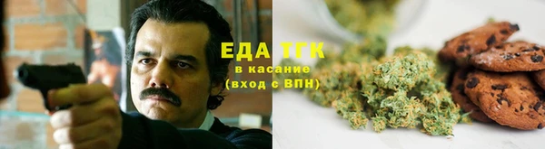 индика Верхний Тагил