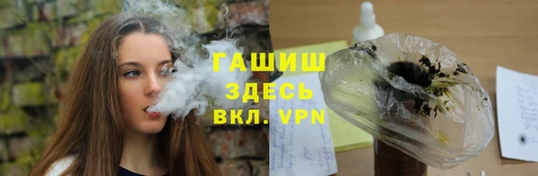 индика Верхний Тагил