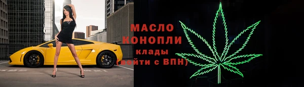 индика Верхний Тагил