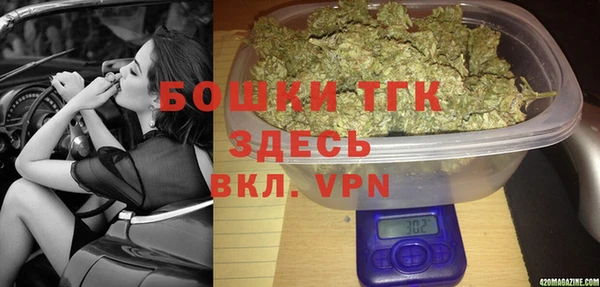 гидра Верея