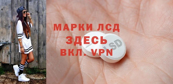 индика Верхний Тагил