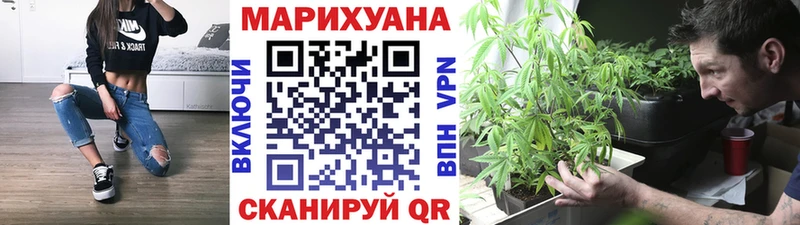 Каннабис OG Kush  Купить где  Куровское 
